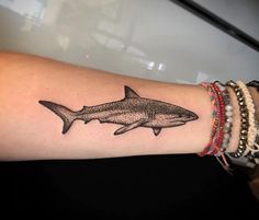 510 Cartoon Of Shark Tattoo Designs Illustrations RoyaltyFree Vector  Graphics  Clip Art  iStock