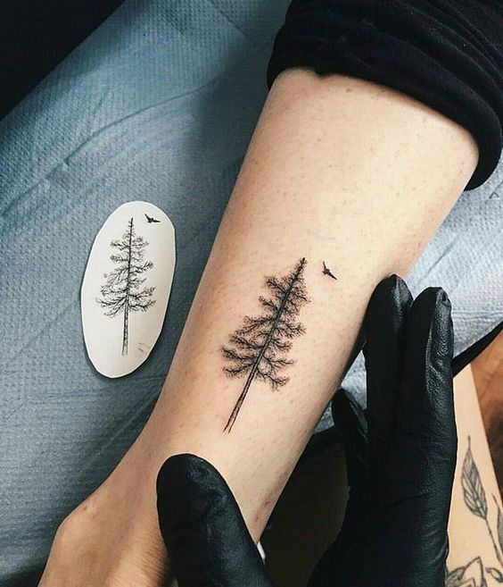 Pine Dotwork Tattoo - Dotwork Simple Tattoos - Simple Tattoos - MomCanvas