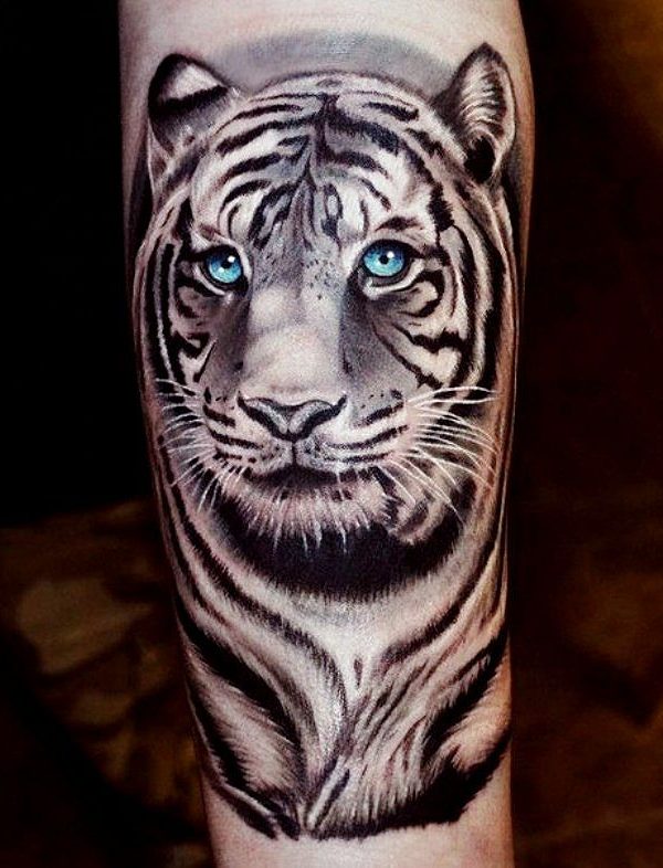 Amazing Tiger Simple Tattoos - Tiger Simple Tattoos - Simple Tattoos ...