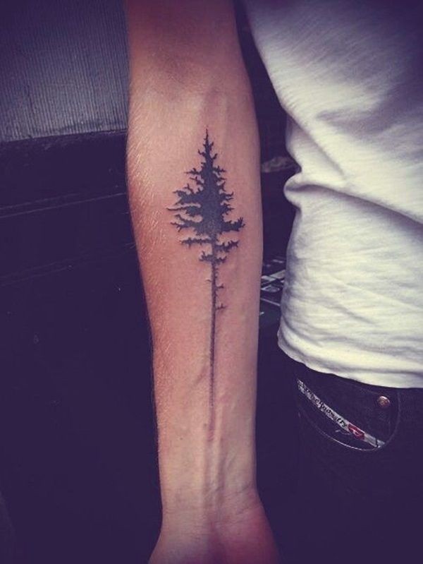 Girlfriends first tattoo Ponderosa pine tree by Leland at  PigmentsPhoenix AZ  rtattoos