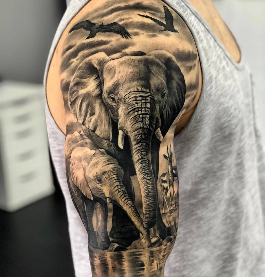Tattoo De Elefantes - kulturaupice