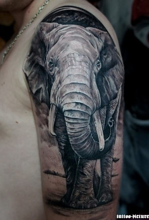 Adored Best Elephant Tattoos - Best Elephant Tattoos - Best Tattoos ...