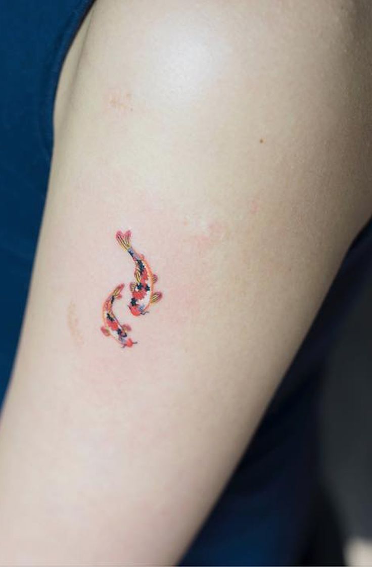 Koi Fish Tattoos Meaning: Color, Direction, and More - TatRing