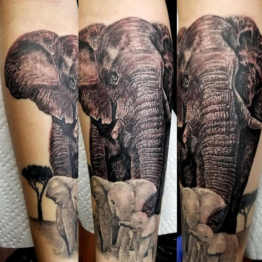 Clear Elephant Family Tattoos - Elephant Family Tattoos - Family ...