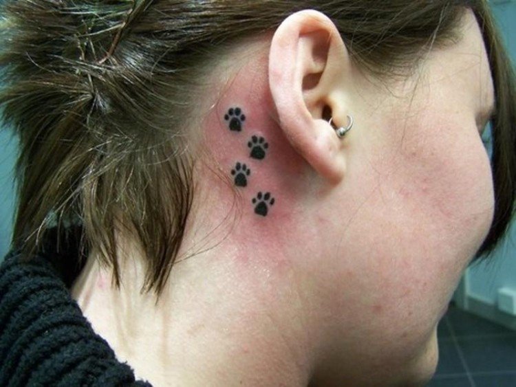 dog paw tattoo behind ear