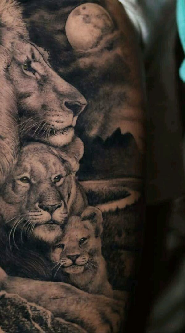 Лев с львицей и львенкотату