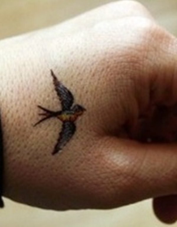 10 Best Small Bird Tattoo IdeasCollected By Daily Hind News  Daily Hind  News