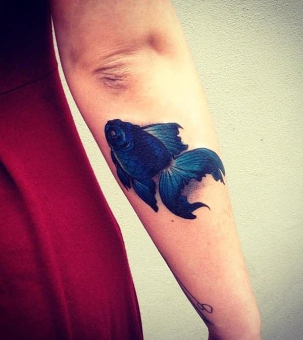 Betta Fish Tattoo Symbolism Meanings  More