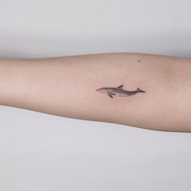 31 Beautiful Dolphin Tattoos Ideas That Will Melt Your Heart Undoubtedly   Tattoo Twist