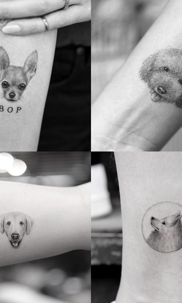 Since we are all posting our pet portrait tattoos : r/h3h3productions