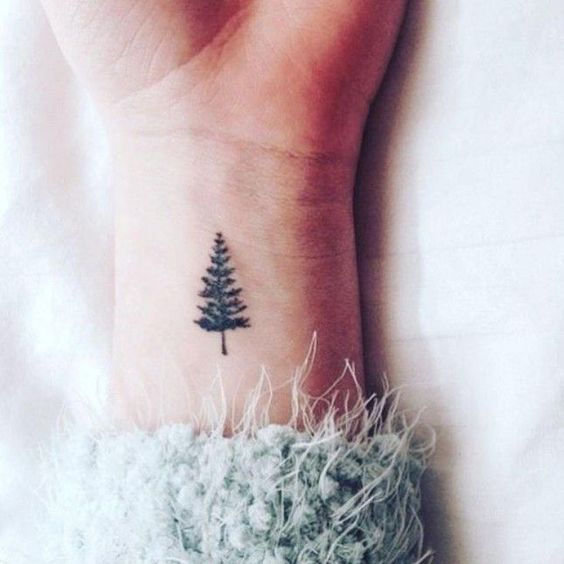 Tree Tattoo Minimalist Images  Browse 2 Stock Photos Vectors and Video   Adobe Stock